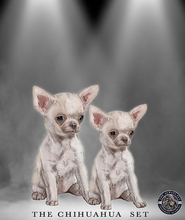 Afbeelding in Gallery-weergave laden, Chihuahua set - Always Your Friend
