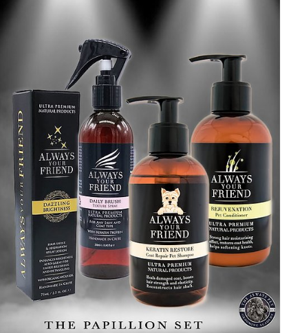 Papillon set - Always Your Friend