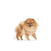 Afbeelding in Gallery-weergave laden, Pomeranian Adult - Droog voer 3KG
